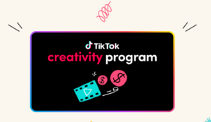 TikTok Creativity Program Beta